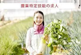 1-23101111513SX 图片