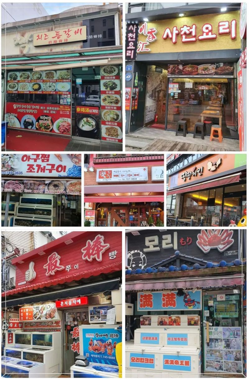 1-231012114202927 图片